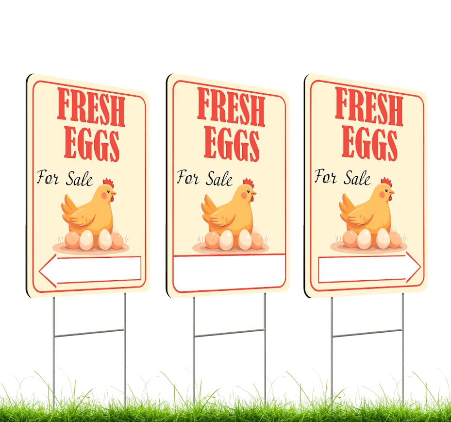3X Double Sided 12x16 Inches Fresh Eggs For Sale Plastic Sign with Metal H-Stakes - Farm Business Supplies Home Decor - Fresh Chicken Eggs For Sale Yard Sign - Fresh Eggs Sign for Outdoor and Indoor