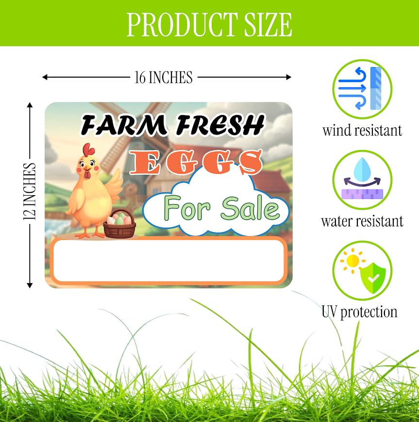 3X Double Sided 12x16 Inches "Farm Fresh For Sale Eggs" Sign with Metal H-Stakes - Plastic Signage Selling for Your Products - Natural Products Private Business Owners - Pointers For Home Front Yard