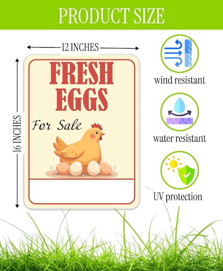 3X Double Sided 12x16 Inches Fresh Eggs For Sale Plastic Sign with Metal H-Stakes - Farm Business Supplies Home Decor - Fresh Chicken Eggs For Sale Yard Sign - Fresh Eggs Sign for Outdoor and Indoor