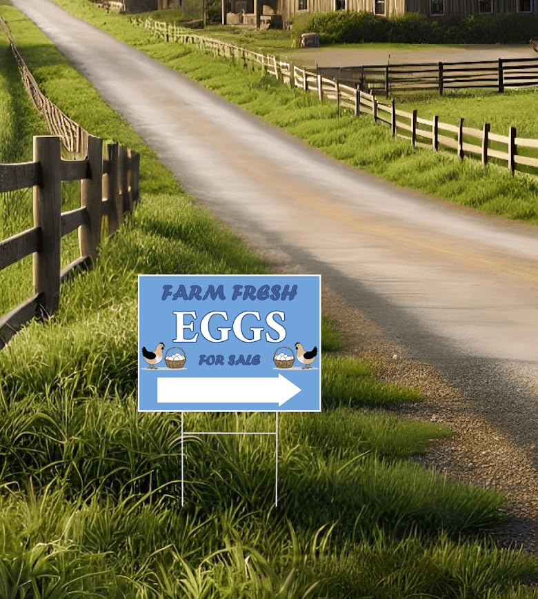 Set of 3 Double Sided 12x16 Inches Farm Fresh Eggs For Sale Sign with Metal H-Stakes - Plastic Farm Fresh Eggs Sold Here Yard Sign - Business Supplies Home Decor or Outdoor and Indoor