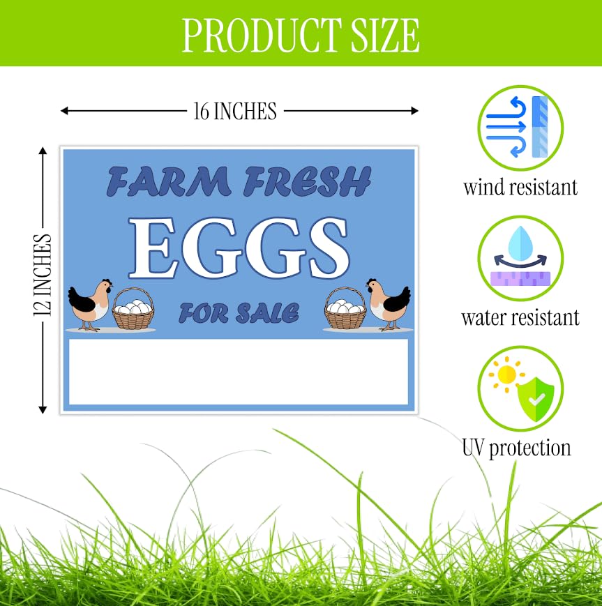 Set of 3 Double Sided 12x16 Inches Farm Fresh Eggs For Sale Sign with Metal H-Stakes - Plastic Farm Fresh Eggs Sold Here Yard Sign - Business Supplies Home Decor or Outdoor and Indoor