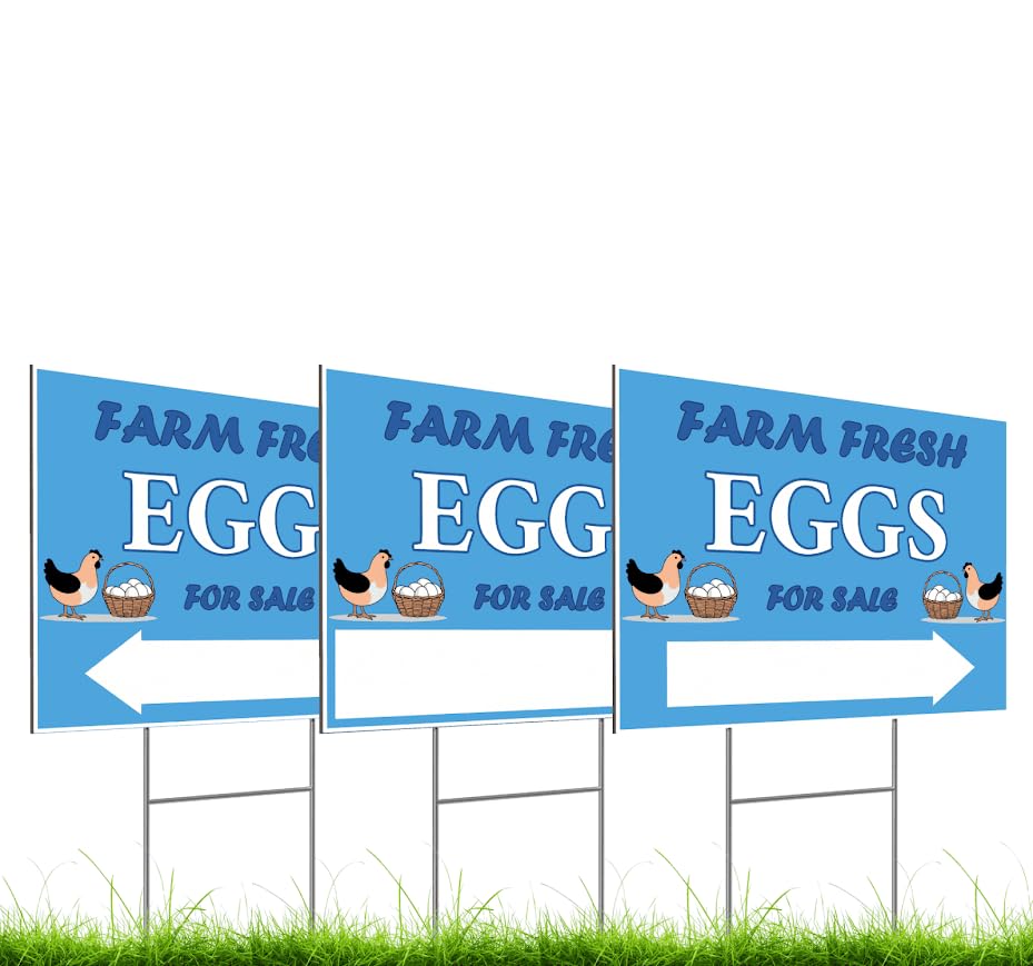 Set of 3 Double Sided 12x16 Inches Farm Fresh Eggs For Sale Sign with Metal H-Stakes - Plastic Farm Fresh Eggs Sold Here Yard Sign - Business Supplies Home Decor or Outdoor and Indoor
