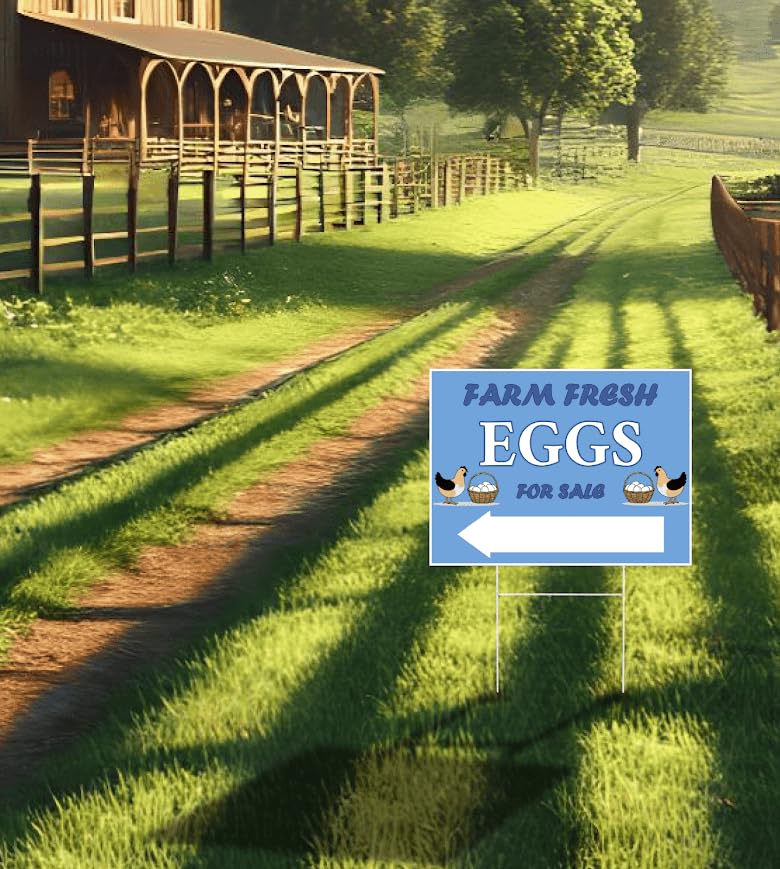 Set of 3 Double Sided 12x16 Inches Farm Fresh Eggs For Sale Sign with Metal H-Stakes - Plastic Farm Fresh Eggs Sold Here Yard Sign - Business Supplies Home Decor or Outdoor and Indoor