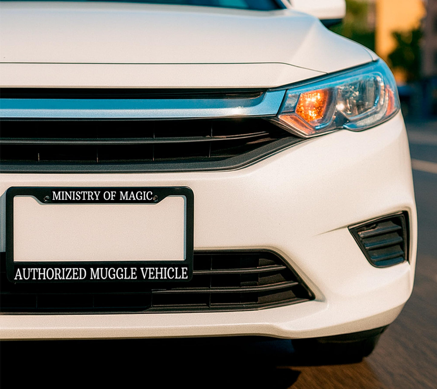 6x12.25 Inch Personalized License Plate Frame Ministry of Magic Authorized Muggle Vehicle - Metal Black Car Frames with 2 Holes and Screws - Standart Cars USA Frame for Front and Rear