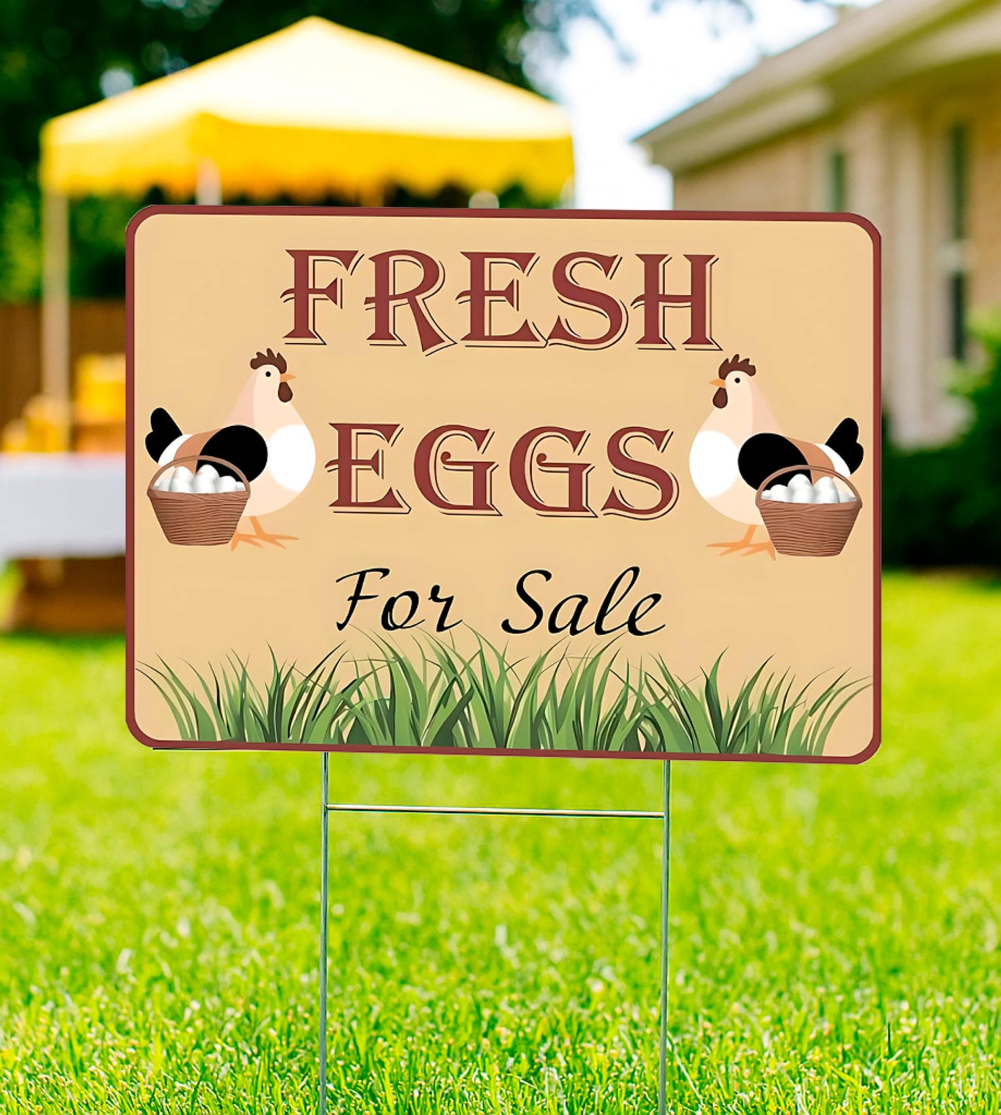 Set of 3 Double Sided 12x16 Inches Fresh Eggs For Sale Sign with Metal H-Stakes - Plastic Sign Fresh or Egg Sign for Outdoor and Indoor - Fresh Chicken Eggs For Sale Yard Sign