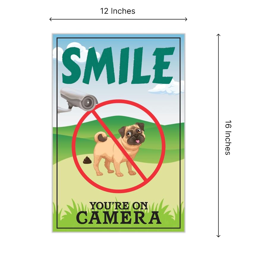 Pack of 3 Funny Smile You're On Camera Yard Signs with Stakes - 12"x 16" Double-Sided Warning Signs for Property - Security Surveillance Signs for Home Business - Video Camera Signs Indoor or Outdoor