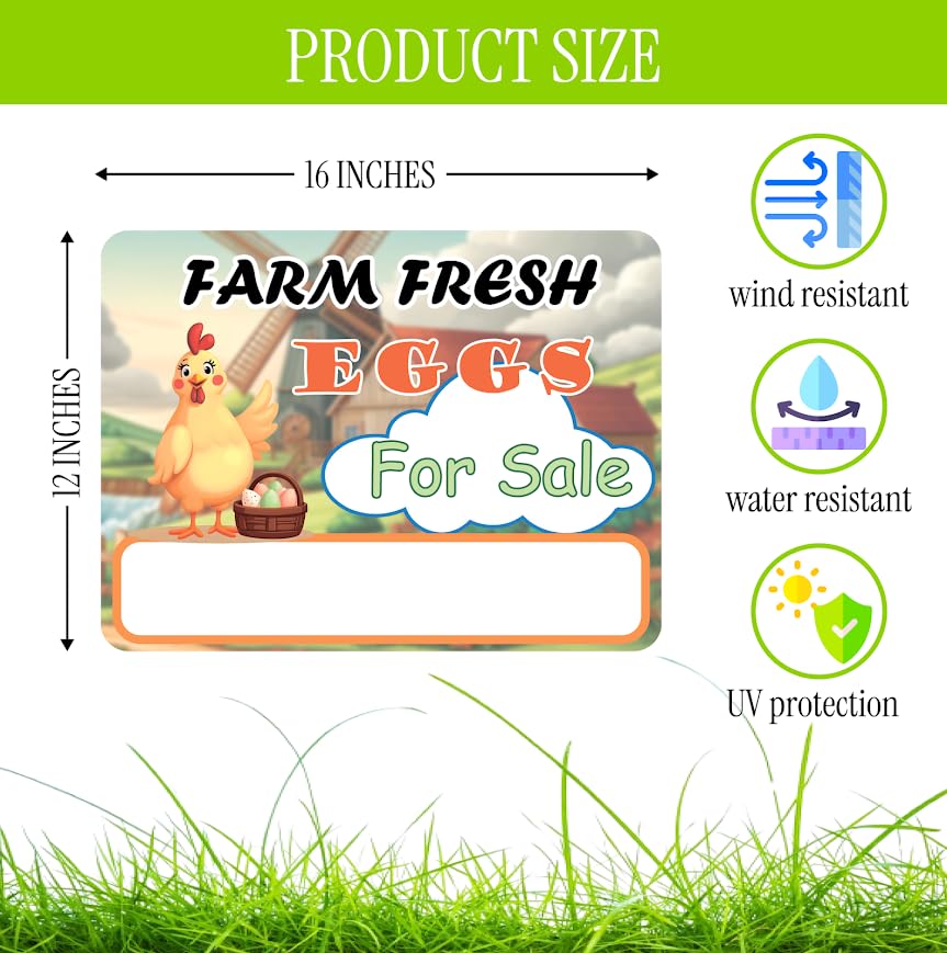 Set of 3 Double Sided 12x16 Inches "Farm Fresh For Sale Eggs" Sign with Metal H-Stakes - Signage Selling for Your Products - Natural Products Private Business Owners - Pointers For Home or Front Yard