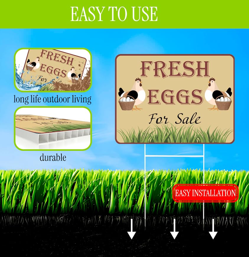 Set of 3 Double Sided 12x16 Inches Fresh Eggs For Sale Sign with Metal H-Stakes - Plastic Sign Fresh or Egg Sign for Outdoor and Indoor - Fresh Chicken Eggs For Sale Yard Sign