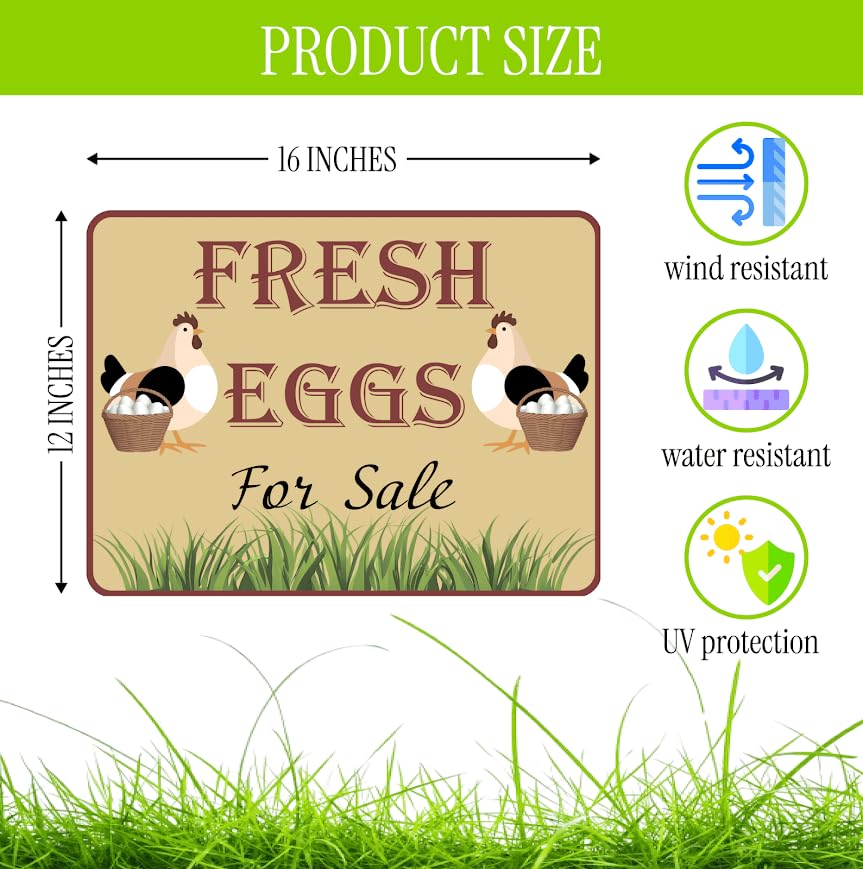 Set of 3 Double Sided 12x16 Inches Fresh Eggs For Sale Sign with Metal H-Stakes - Plastic Sign Fresh or Egg Sign for Outdoor and Indoor - Fresh Chicken Eggs For Sale Yard Sign