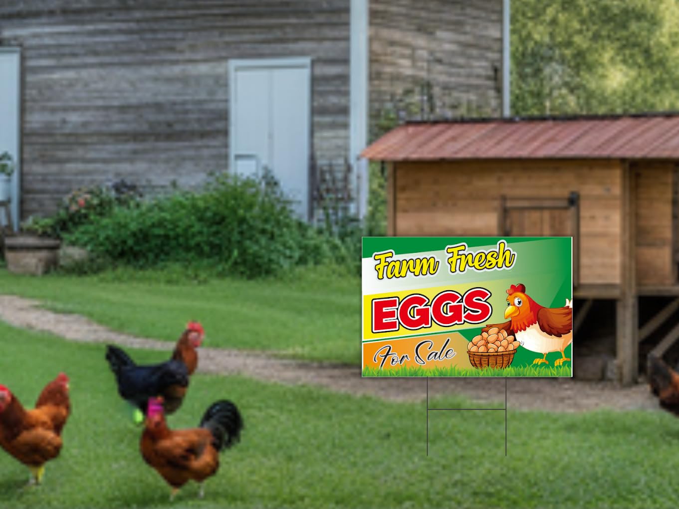 ULVEOL 12x16 Inch Double Sided Coroplast Eggs Sign for Sale Yard - Farm Fresh Eggs Sign, Chicken Coop Decor, Indoor/Outdoor Use, Plastic, 12x16 inches