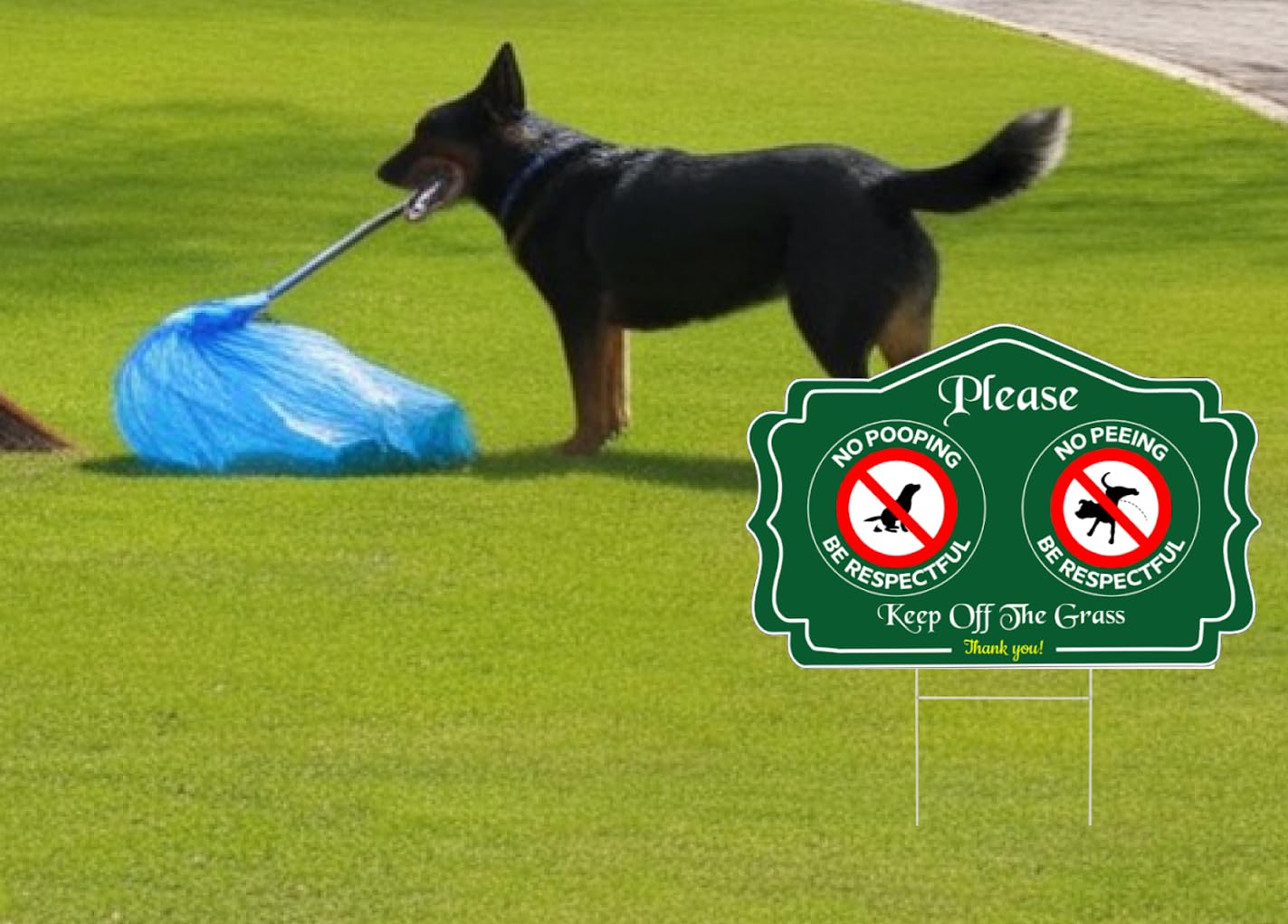 3 Pack 12x8 Inch Please Pack Keep Off Grass, Thank You Sign with H Stake - No Peeing/Pooping Be Respectful Dog Signs - No Pet Pooping or Waste or Poop - Dog Walk Off Lawn Do Not Step Signs