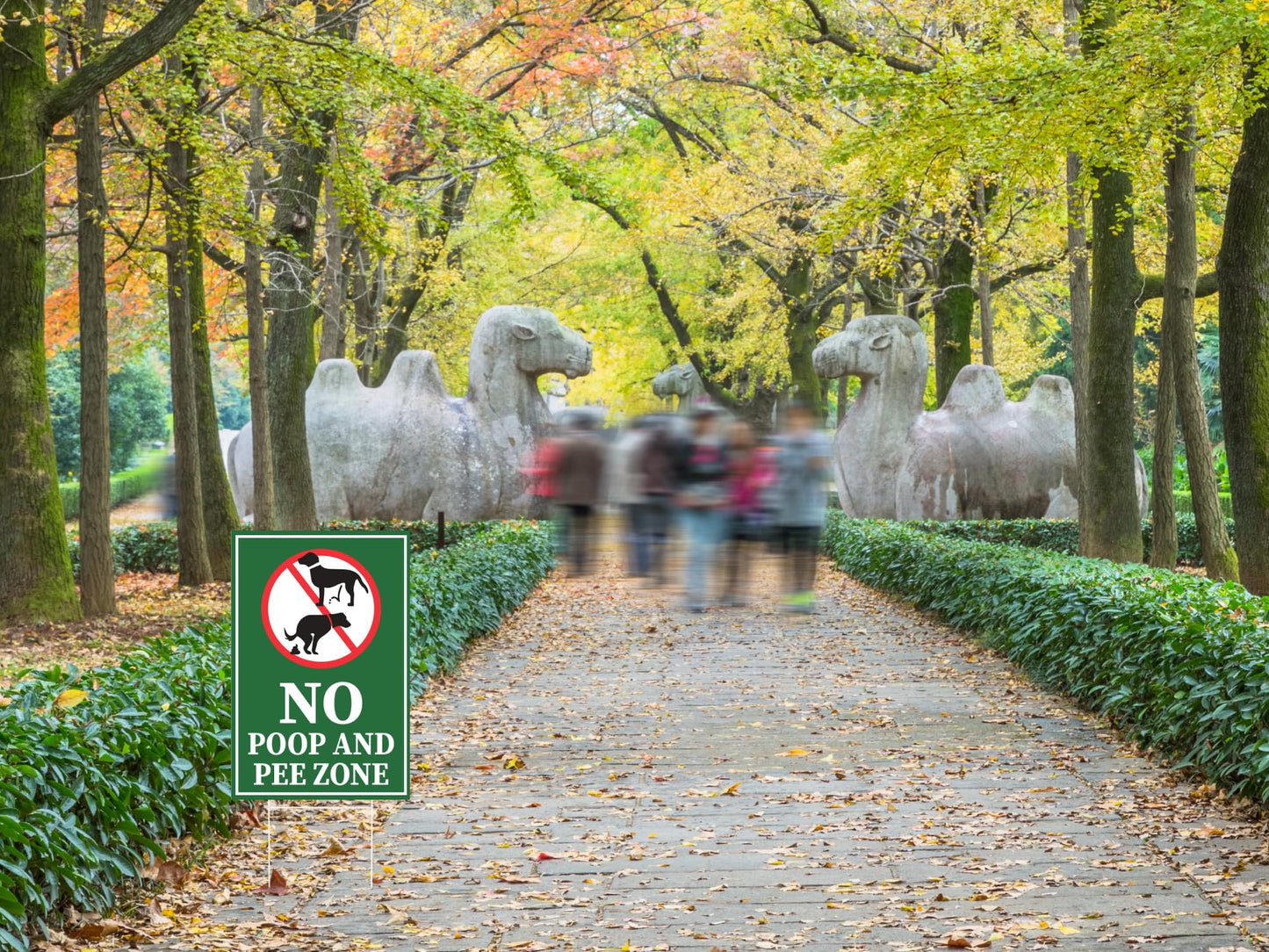 Pack of 3 No Poop and Pee Zone Yard Signs with Stakes 12x8 inch - Please Be No Pooping No Peeing Dog Signs for Yard Garden Lawn Outdoor - Please Be Respectful Dog Yard Signs